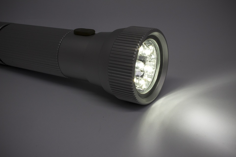 luce UV Torcia elettrica nera per il rilevamento di urina Pet Torcia UV vansky 21 LED per su 